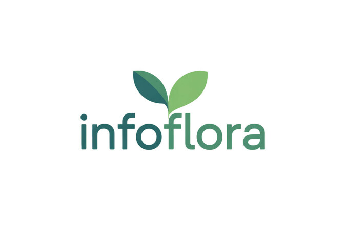 InfoFlora.com - Best premium domain names