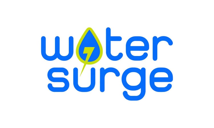 WaterSurge logo