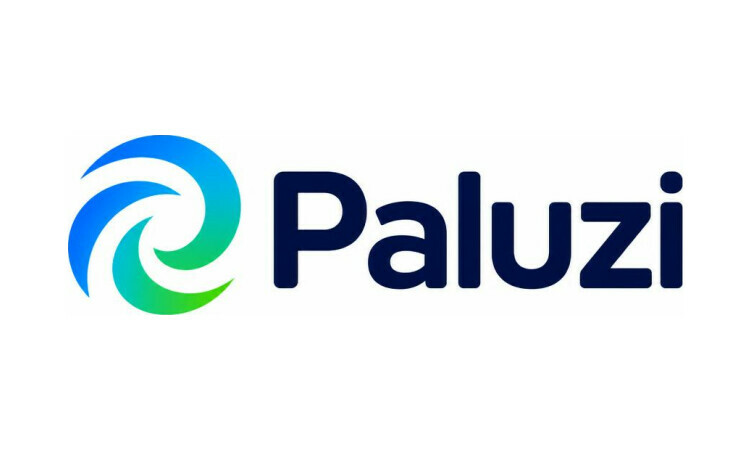 Paluzi.com - Great domains for sale