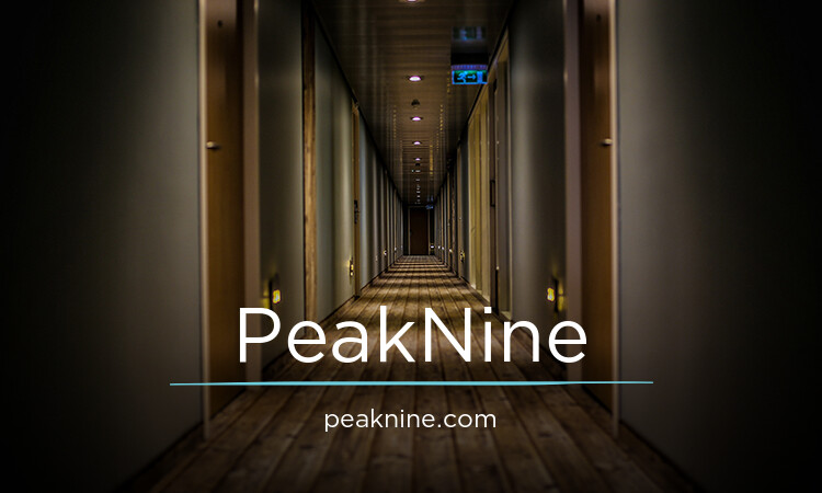 PeakNine.com - buying Best premium names