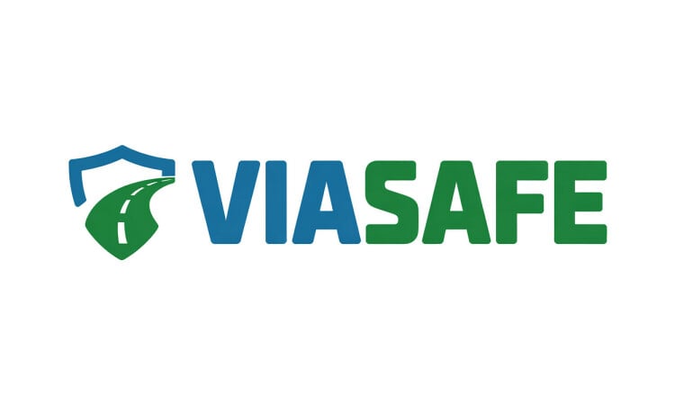 ViaSafe logo
