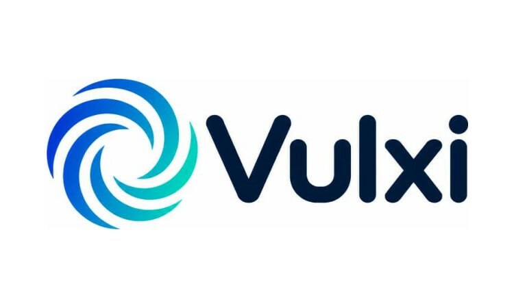 Vulxi logo