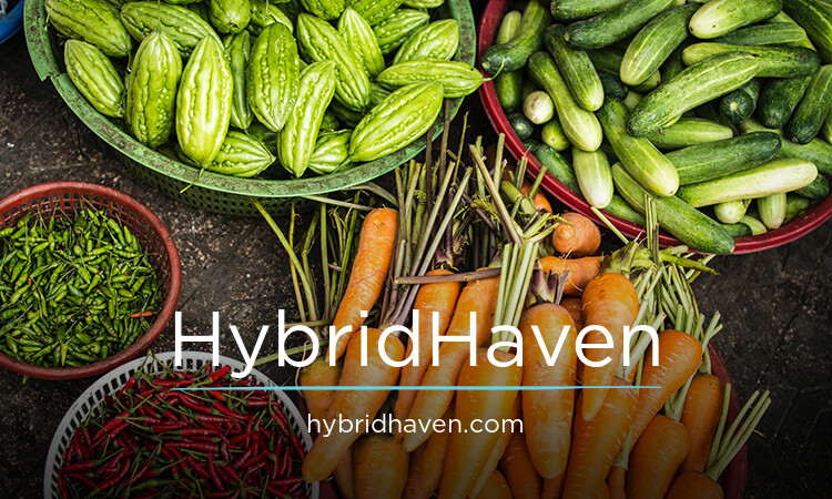 HybridHaven.com - Great premium domains