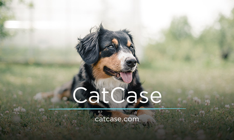 CatCase.com - Creative domains for sale