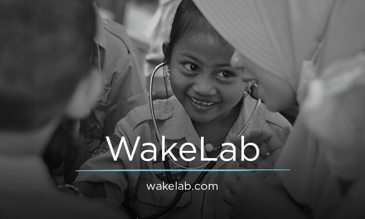 WakeLab.com - buying Catchy premium names