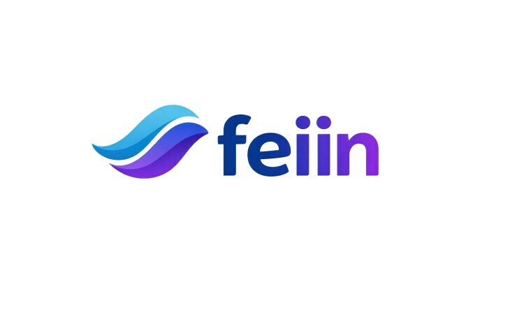 feiin.com - buy New premium domains