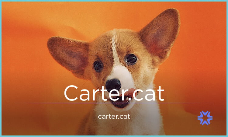 Carter logo