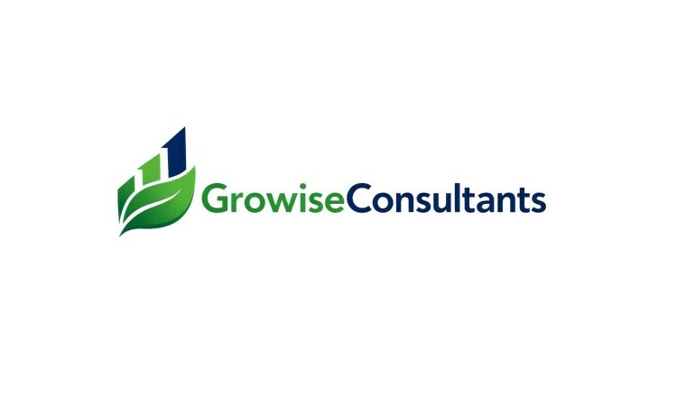 GrowiseConsultants.com is for sale