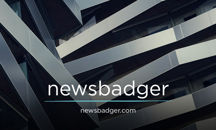 NewsBadger.com - Unique premium domains for sale