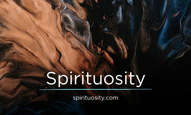 Spirituosity.com - Great premium domain marketplace
