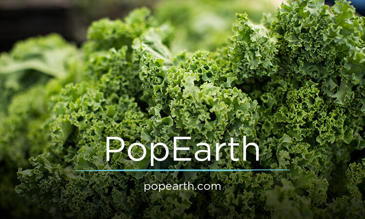 PopEarth.com - Great premium domain names