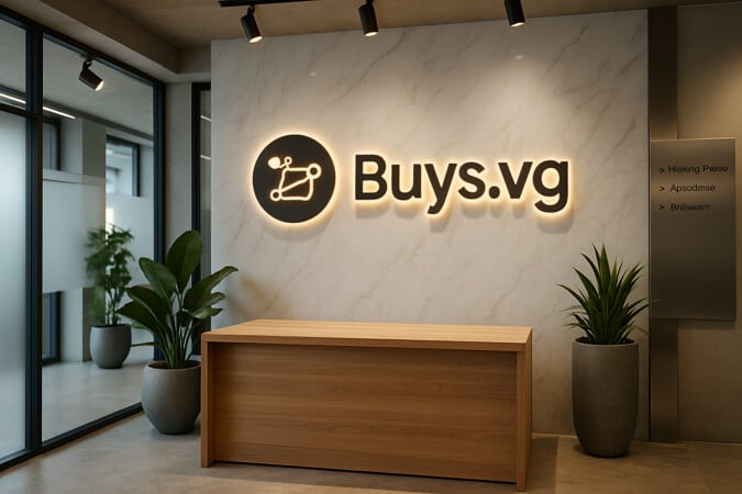 Buys.vg image 4