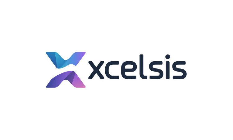 Xcelsis.com - buy Unique premium domains
