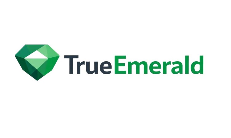 TrueEmerald.com - Best domains for sale