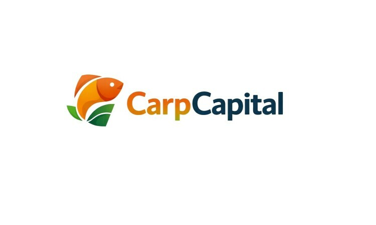 CarpCapital.com - Best premium names