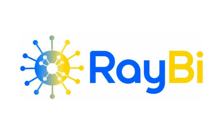 RayBi.com