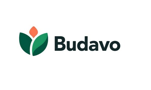 Budavo logo