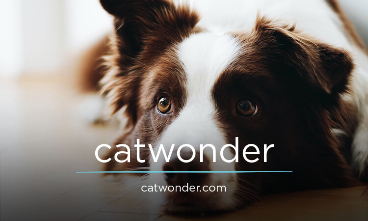 CatWonder.com - buying Cool premium names
