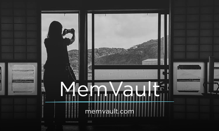 MemVault.com - Cool premium domains