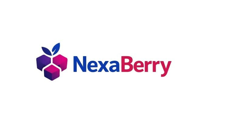 NexaBerry logo