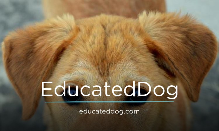 EducatedDog logo