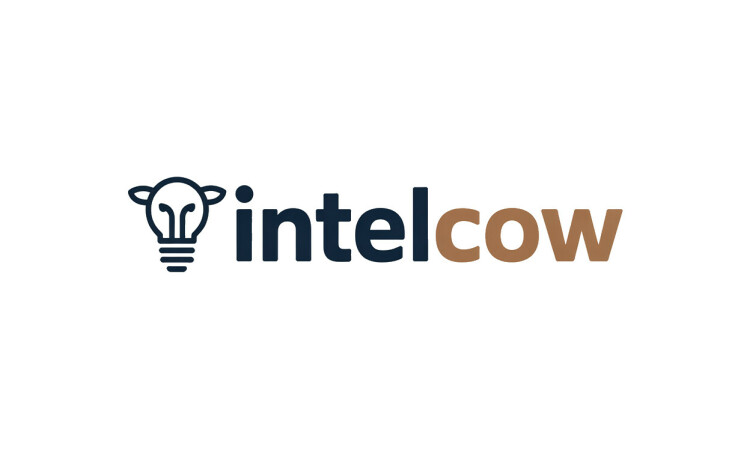 IntelCow.com - Good premium domain names
