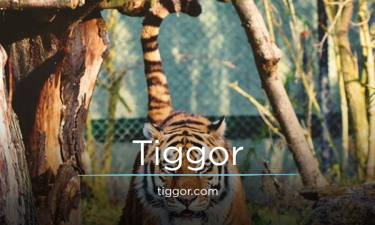 Tiggor.com - New premium domain marketplace