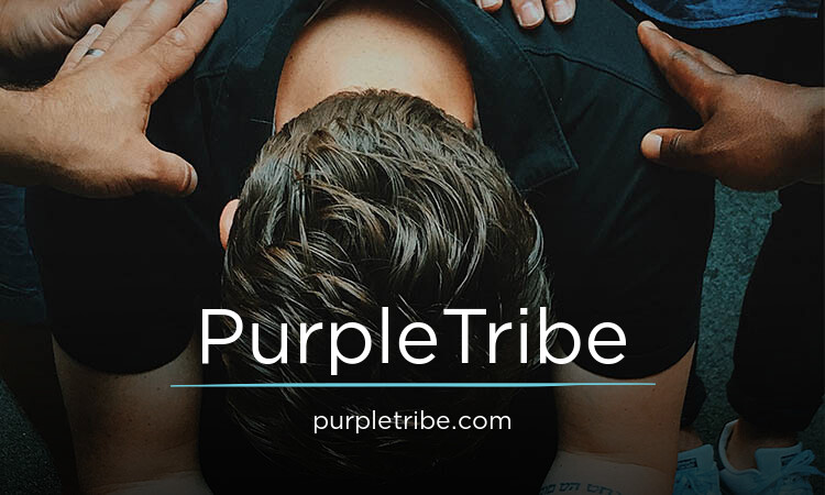 PurpleTribe.com - Good premium domains for sale