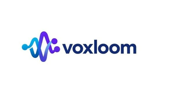Voxloom logo