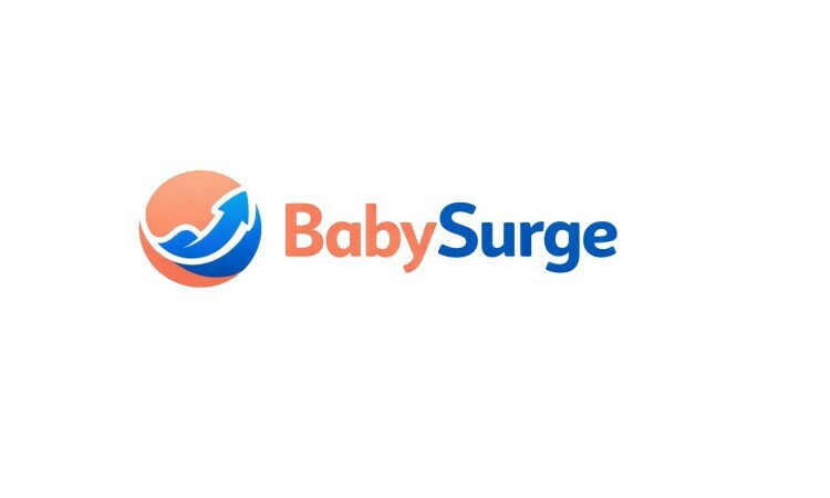 BabySurge logo