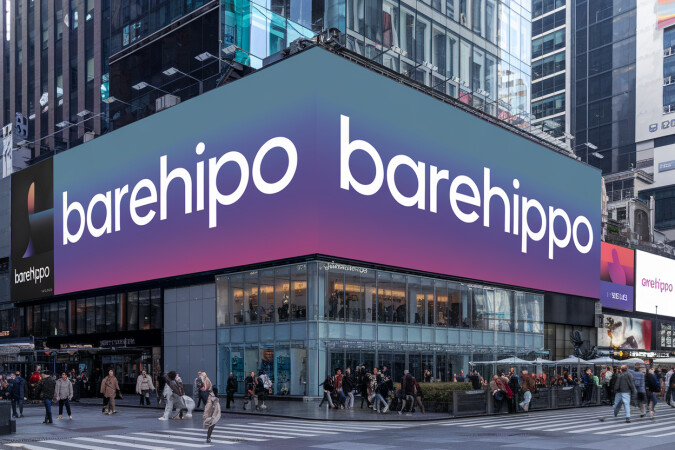 BareHippo.com image 3