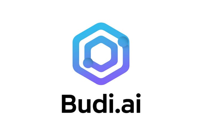 Budi logo