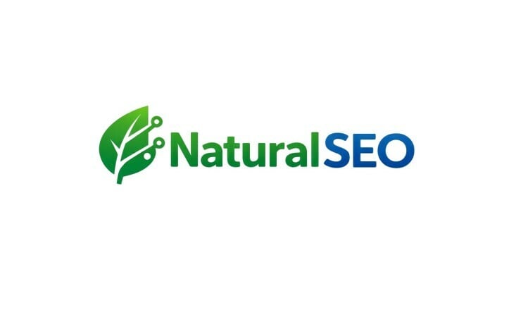 NaturalSEO logo