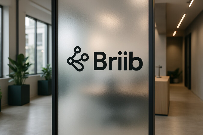 Briib.com image 4