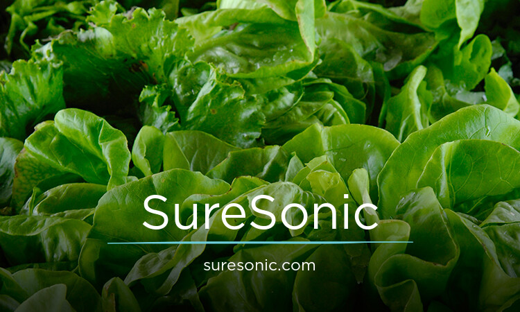 SureSonic.com - buy Cool premium names