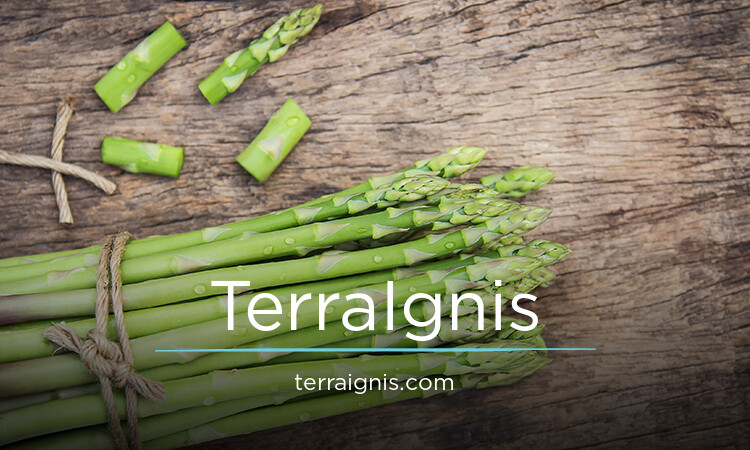 TerraIgnis.com - Unique domains for sale