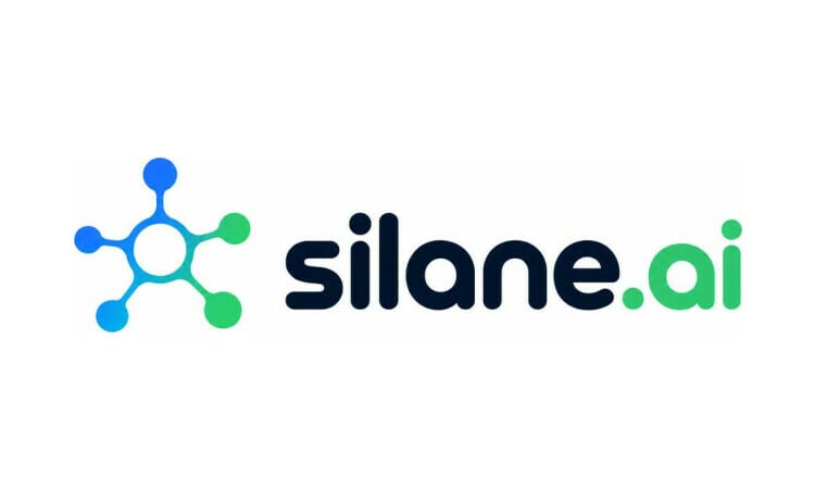 Silane.ai - Great premium names