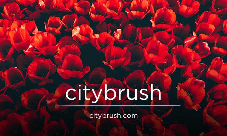 CityBrush.com - Cool premium names