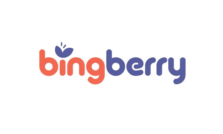 Bingberry.com - Good premium domains for sale