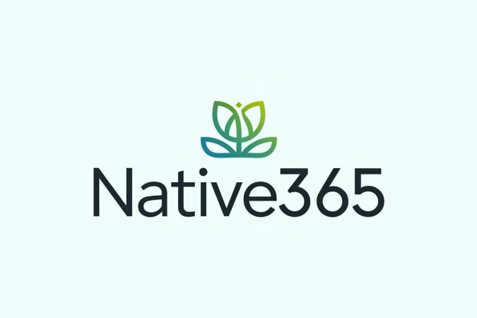 Native365 logo