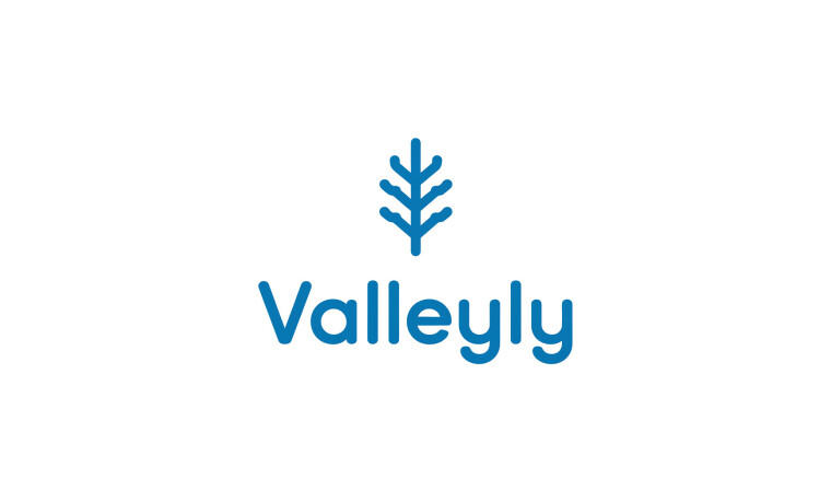 Valleyly.com - Catchy premium domains