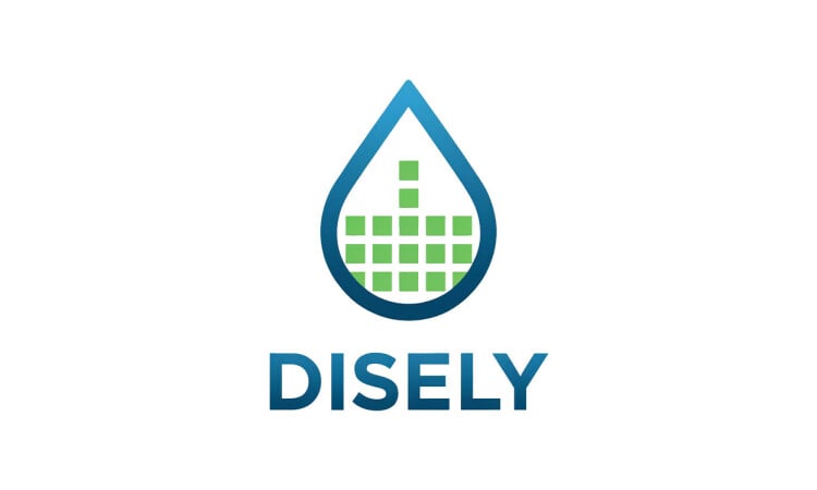 Disely logo