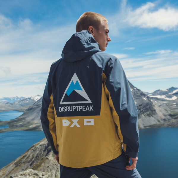 DisruptPeak.com image 3