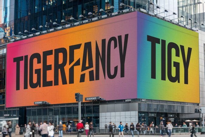 TigerFancy.com image 3