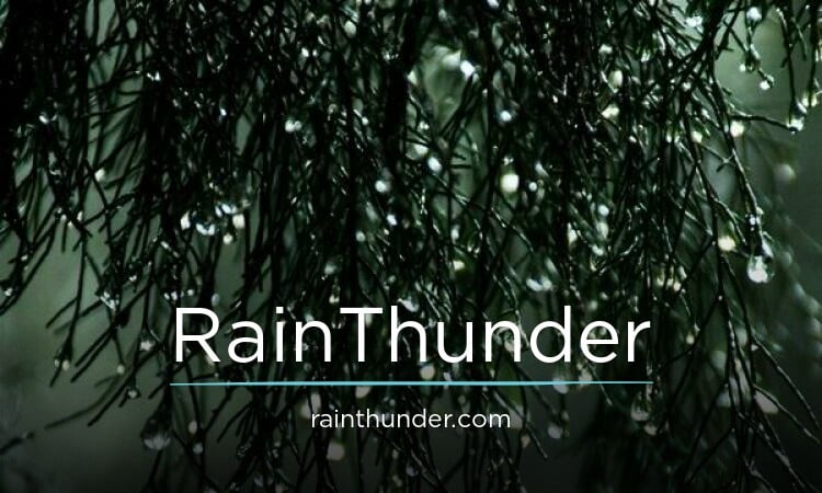 RainThunder.com - buy Best premium domains