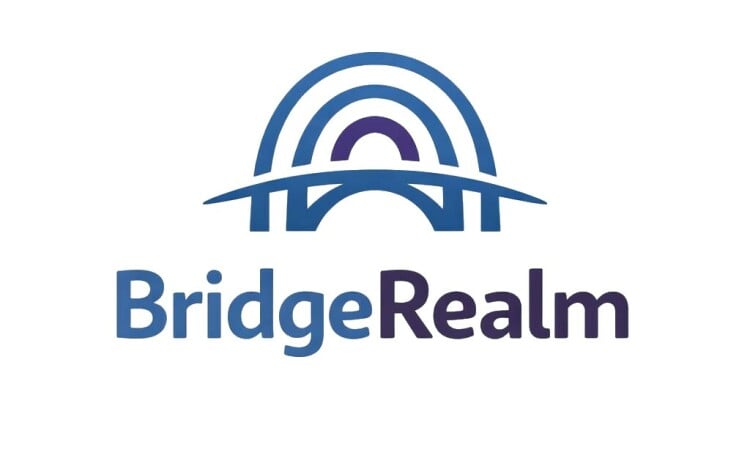 BridgeRealm logo