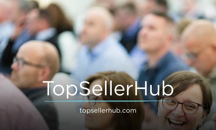 TopSellerHub logo