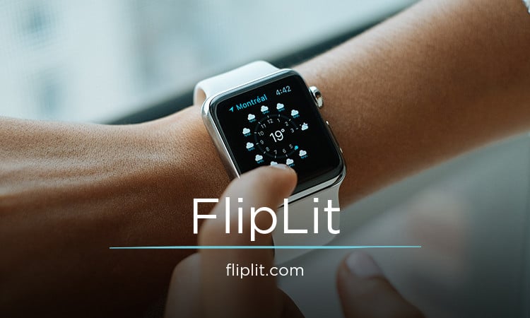 FlipLit.com - New domains for sale