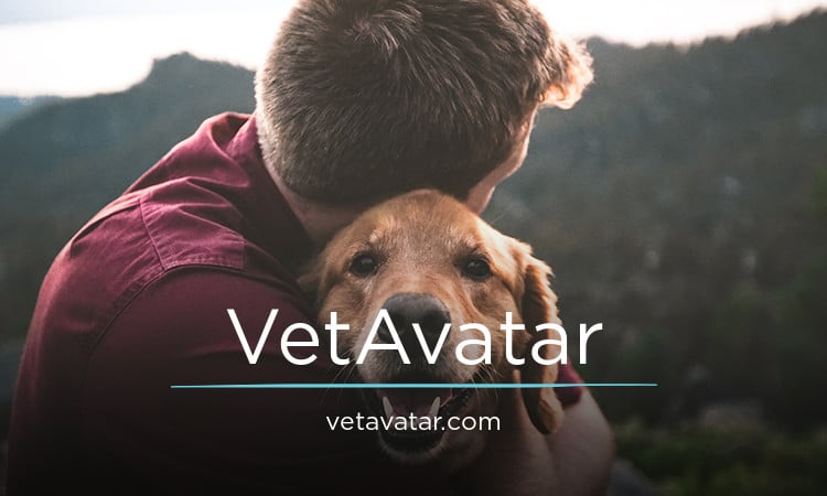 VetAvatar.com - Great premium domains for sale
