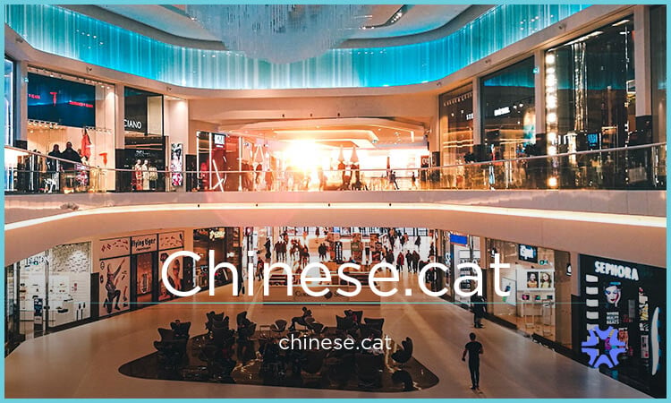 Chinese logo